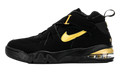 Air Force Max Charles Barkley "BLACK / METALLIC GOLD" AJ7922 001