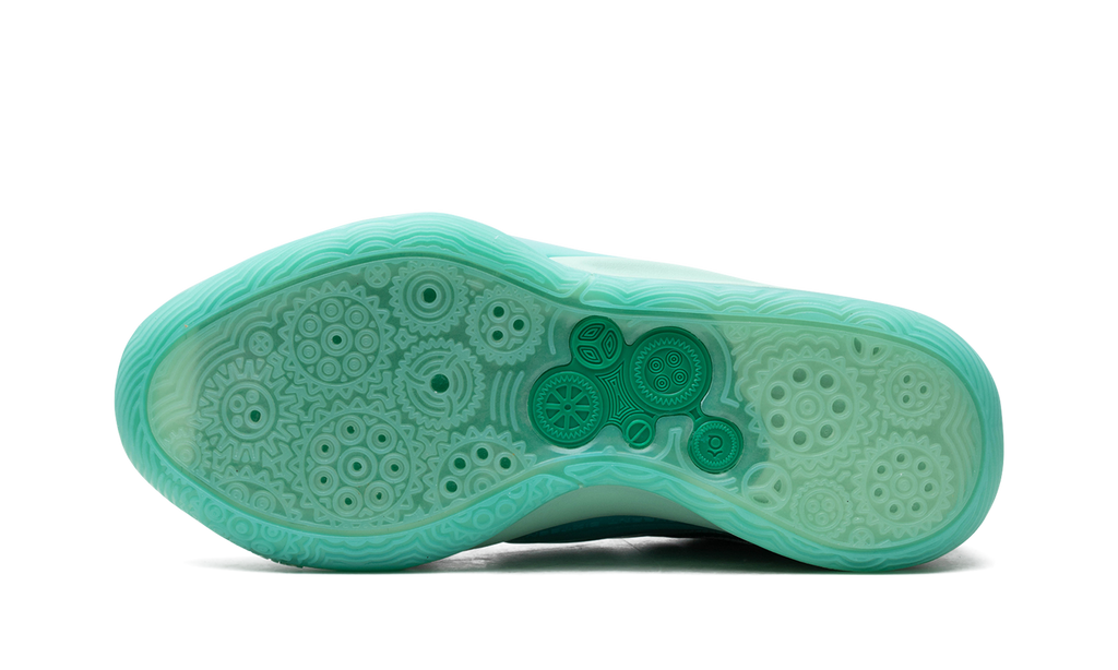 KD 16 "Wanda" DV2917 301