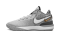 Zoom LeBron NXXT Gen "Wolf Grey Metallic Gold" DR8784 004