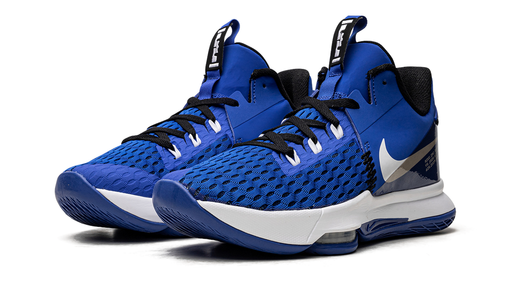 LeBron Witness V CQ9380 400