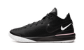 Nike Zoom LeBron NXXT Gen "Black/White" DR8784 003