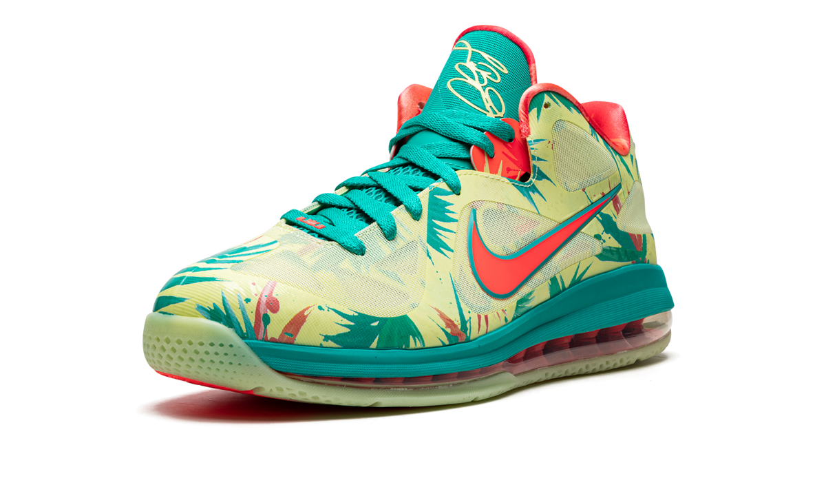 LeBron 9 Low "LeBronald Palmer" DO9355 300